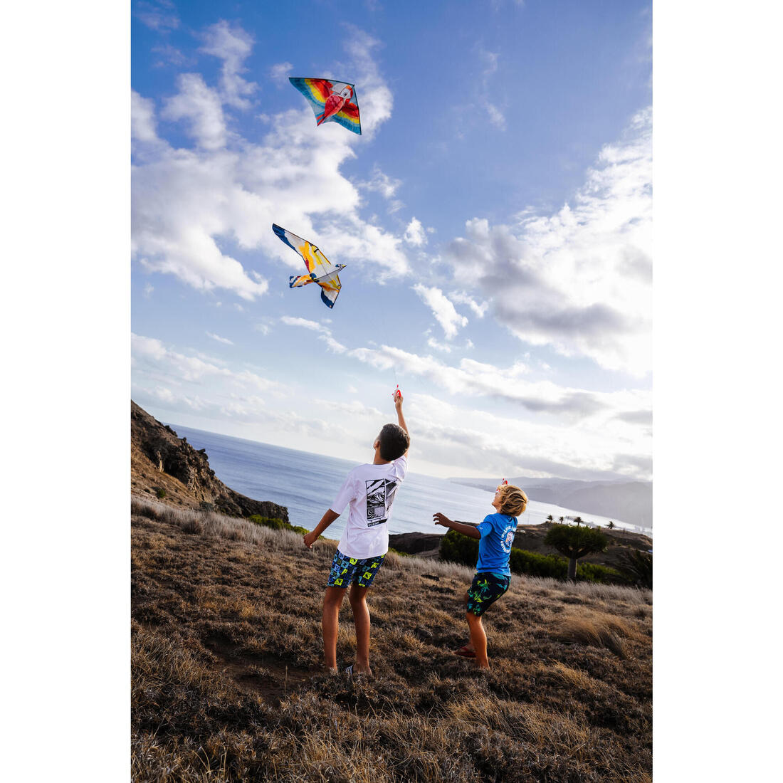 IMG_8871704_2