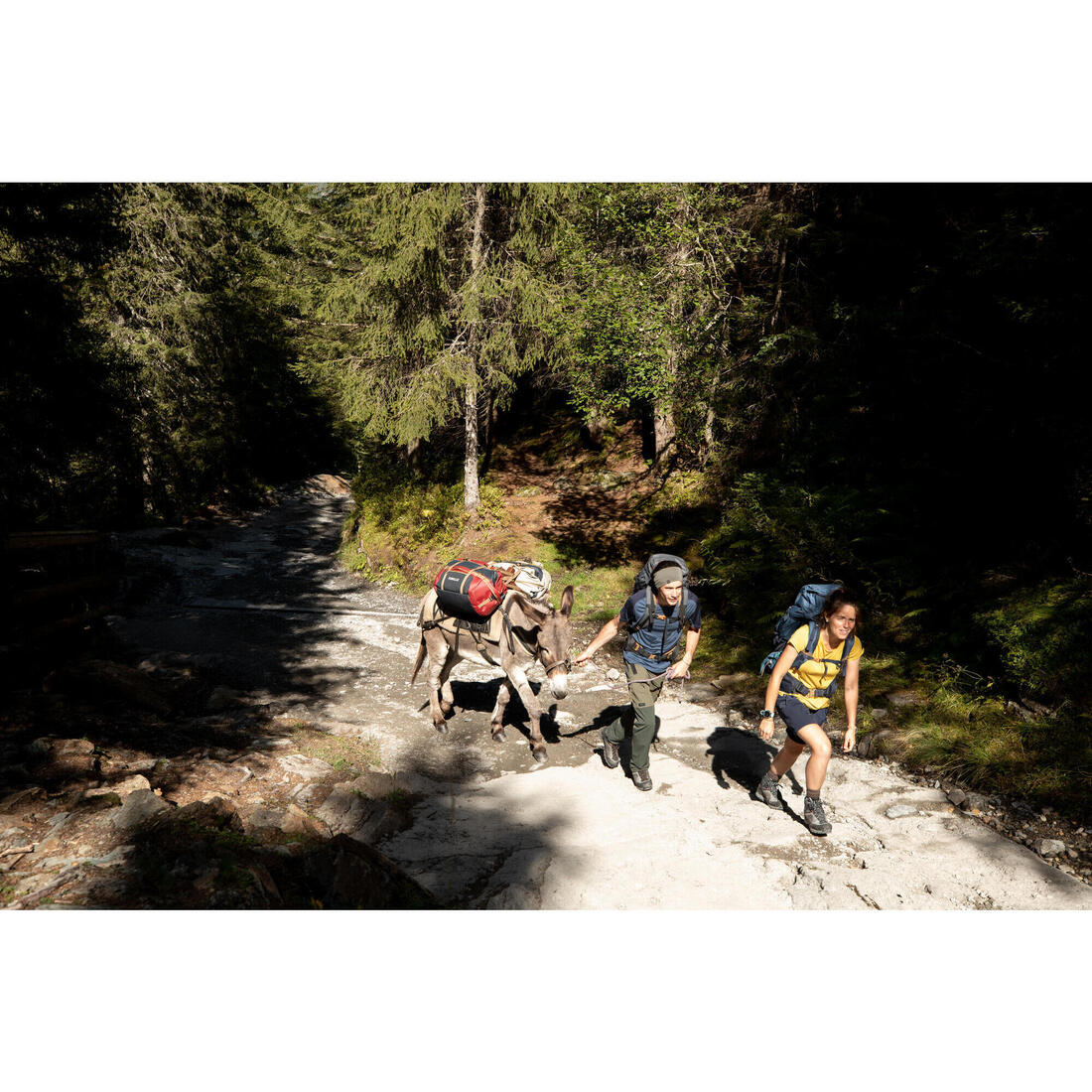 IMG_8383299_20