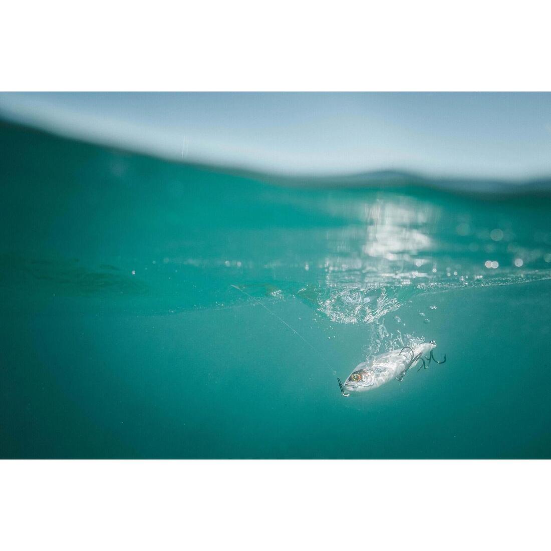 IMG_8755951_9