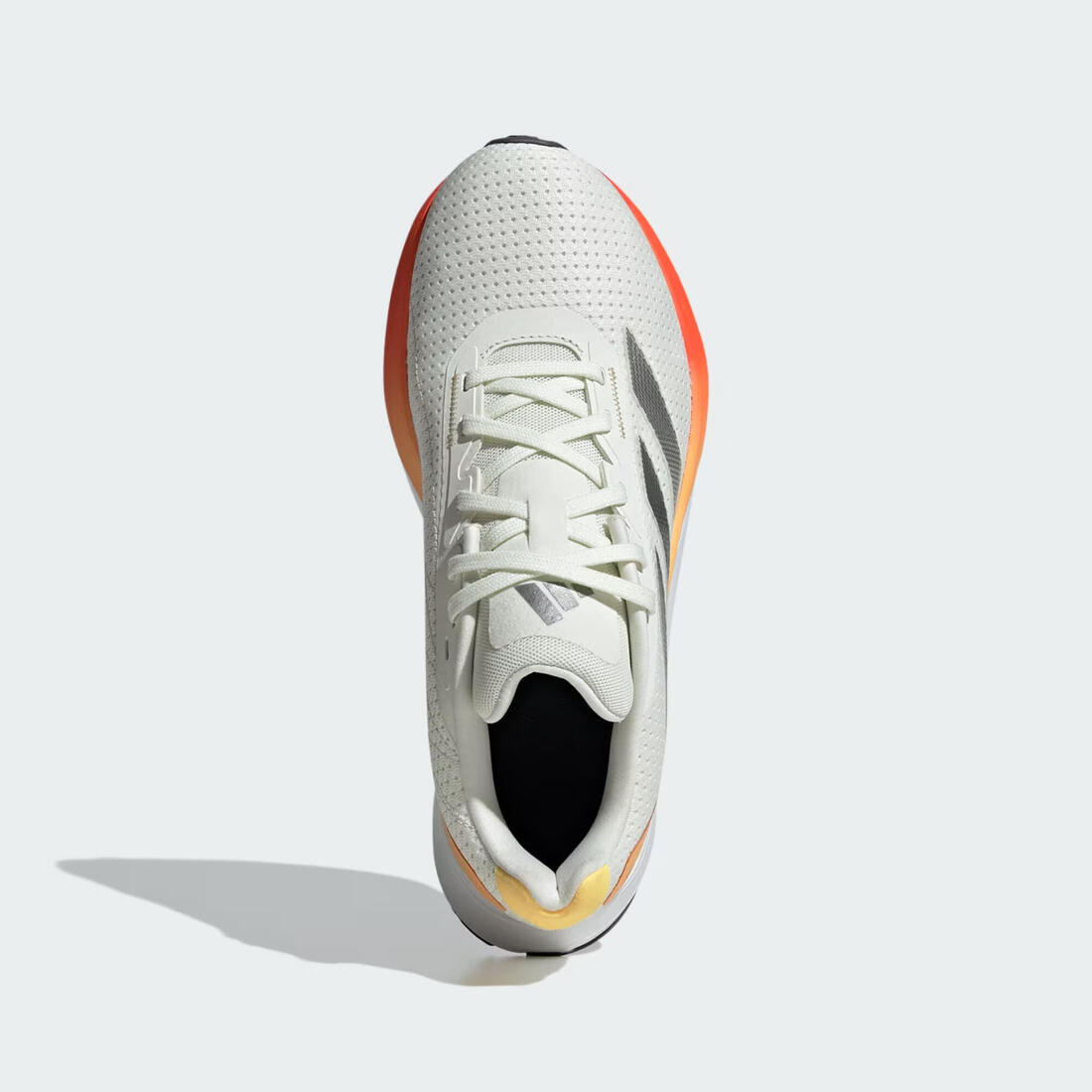 IMG_1008955020_7