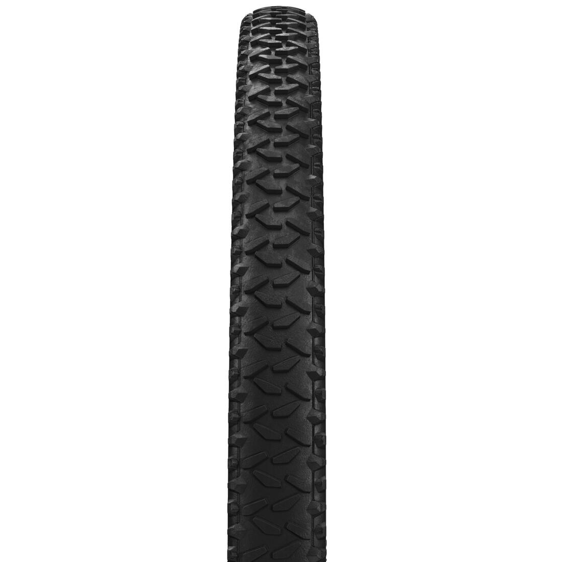 IMG_8299416_2