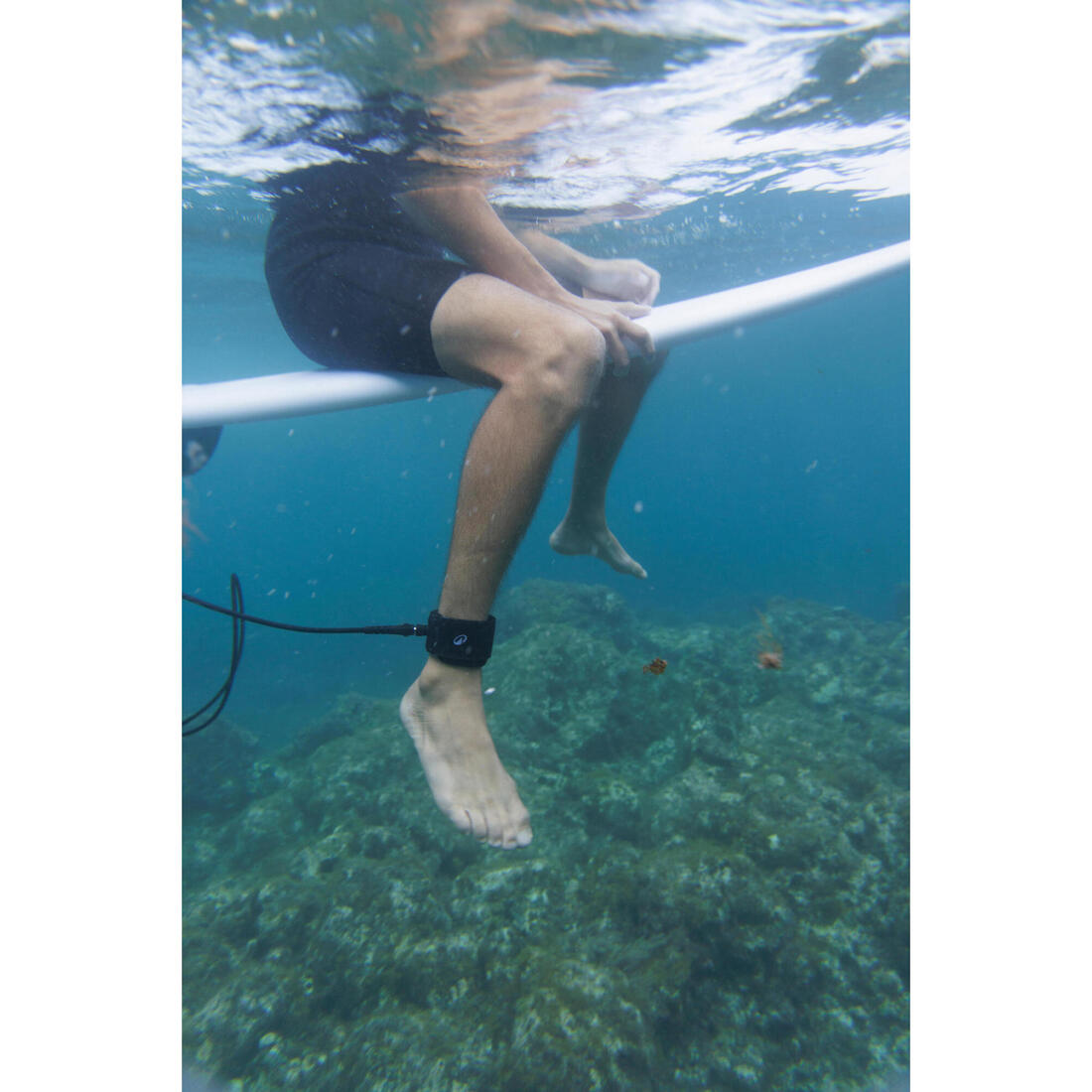 IMG_8882524_7