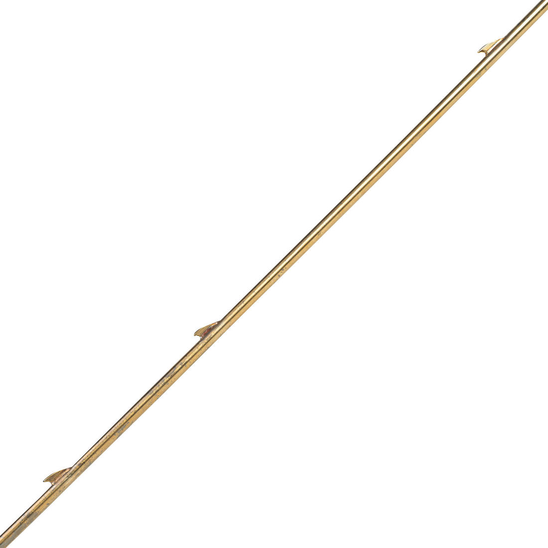 IMG_8589475_2