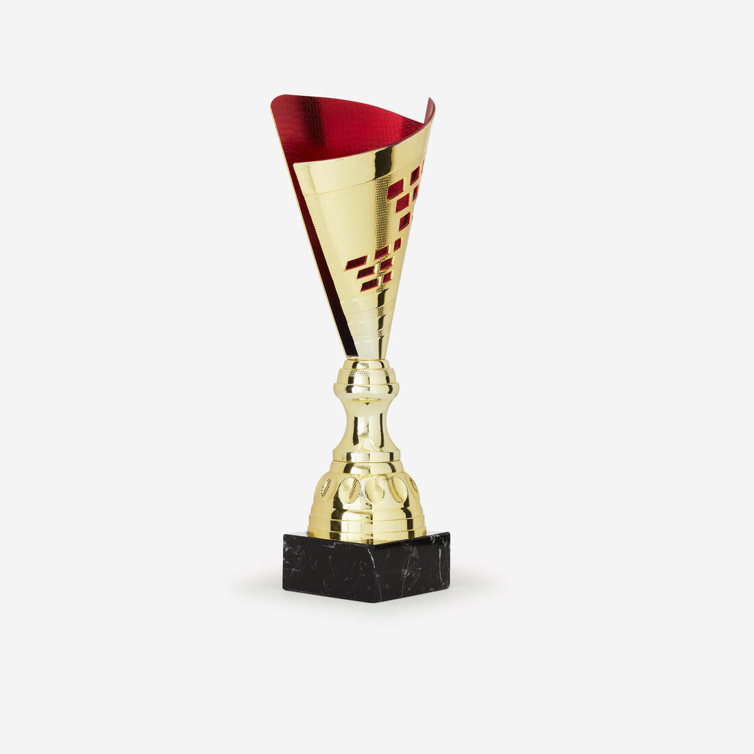 IMG_1008539444_1