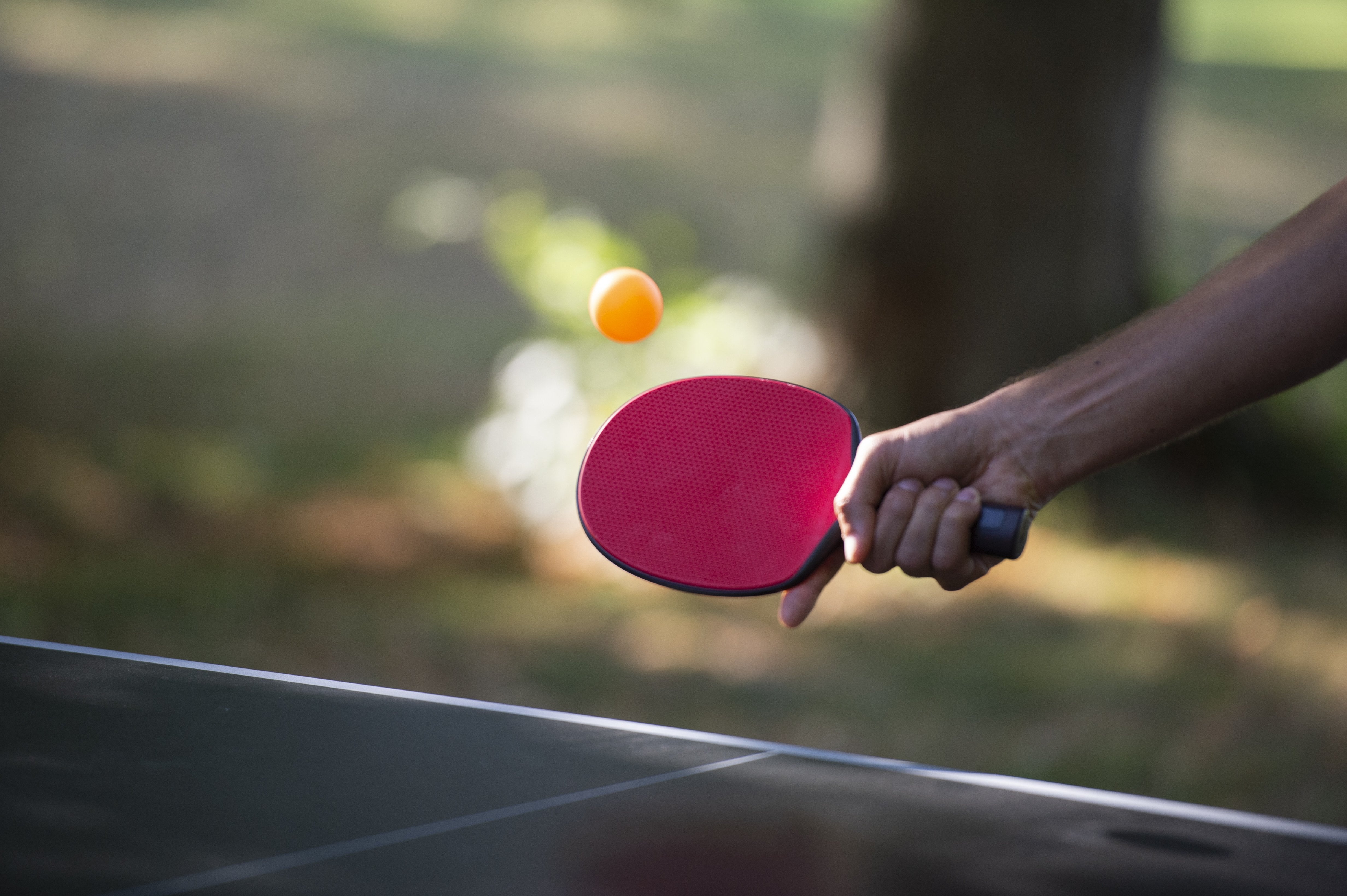 TENNIS DE TABLE