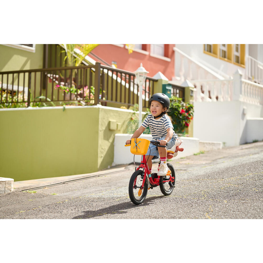 IMG_8646304_3