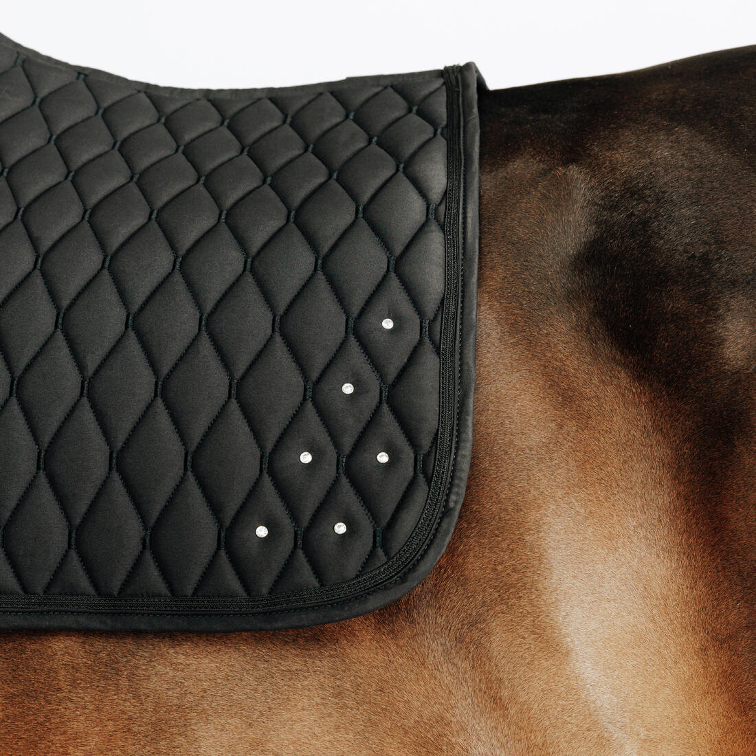 IMG_8918059_3