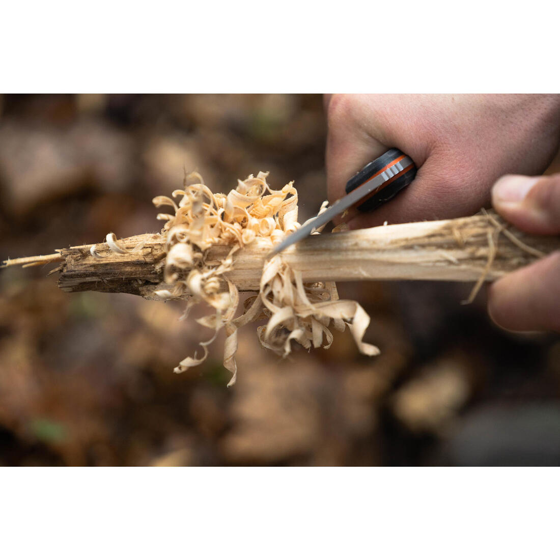 IMG_8377027_8