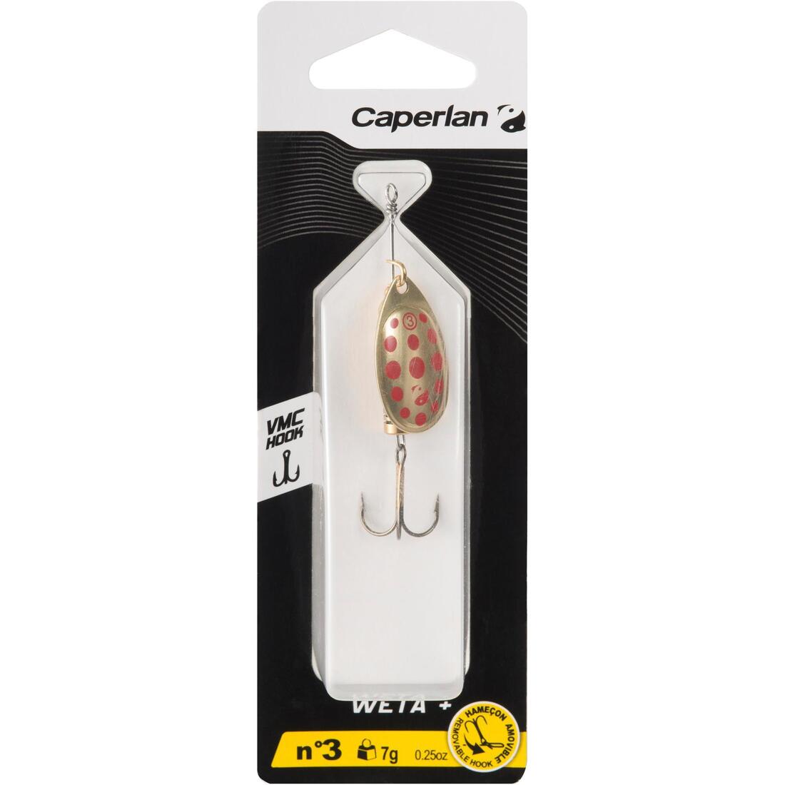 IMG_8405637_4