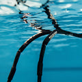IMG_1983145