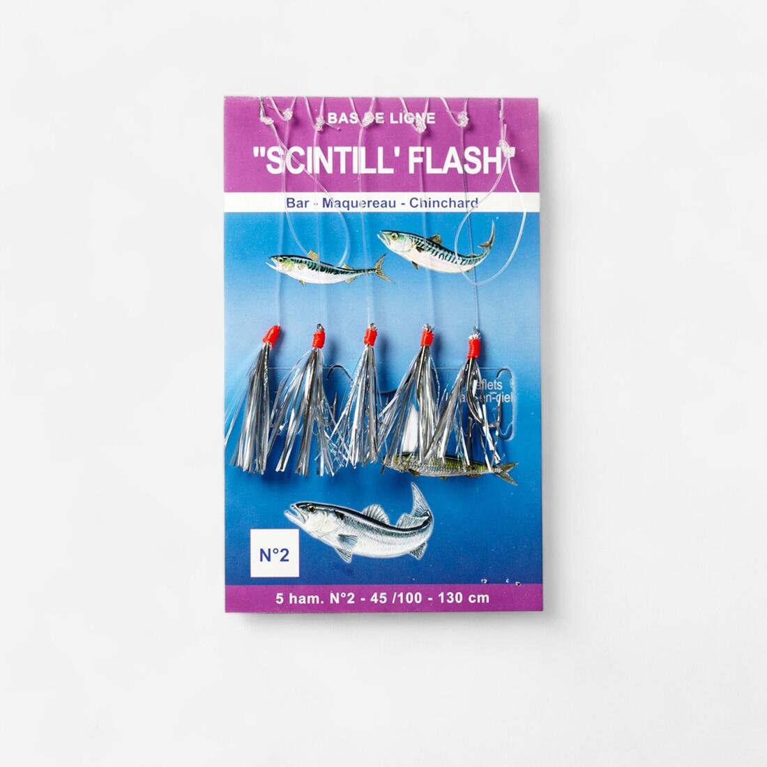 IMG_1008127914_1