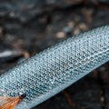 IMG_8646619_8