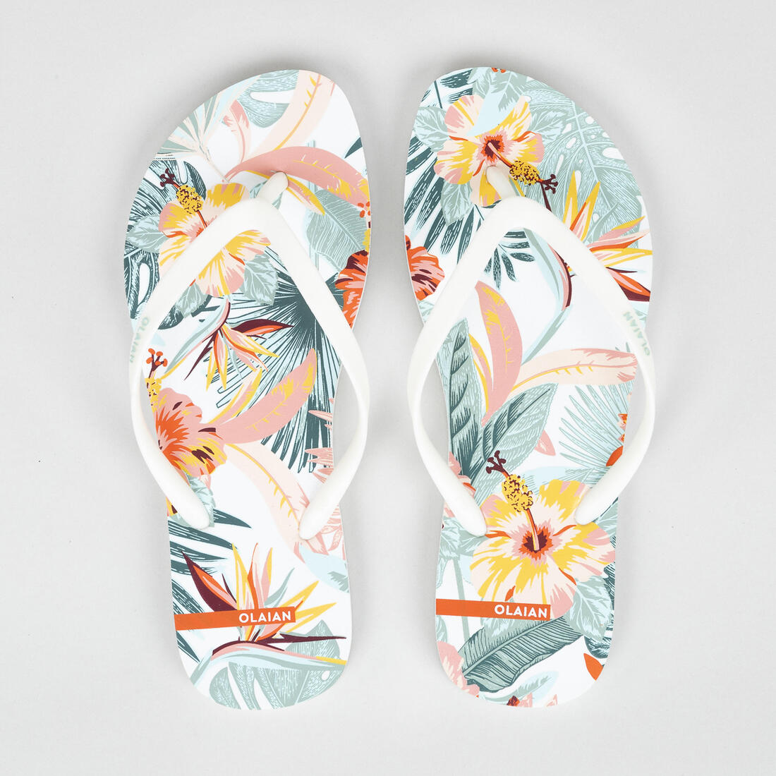 IMG_2436824