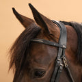 IMG_8395103_4