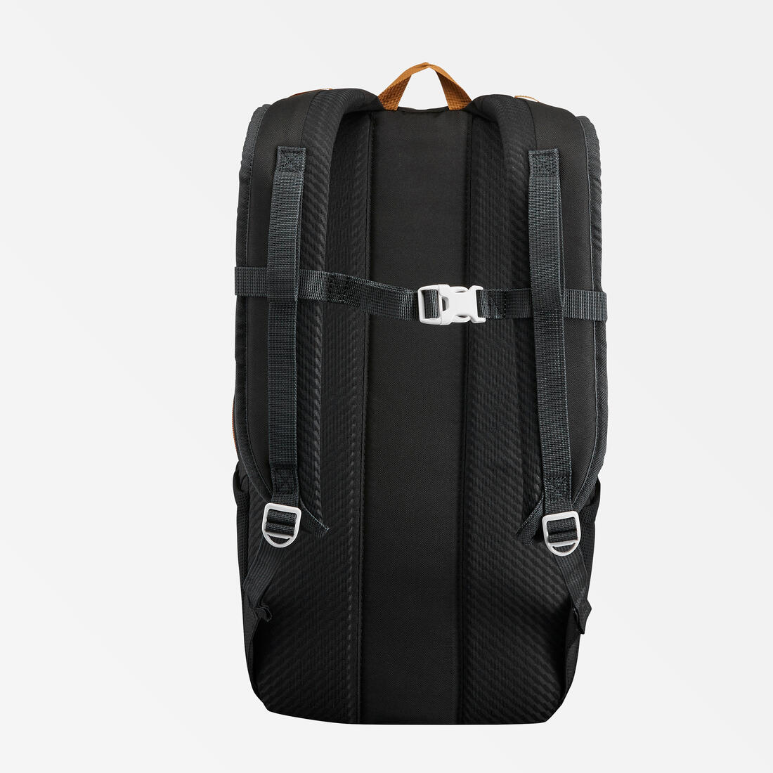 IMG_8529024_4