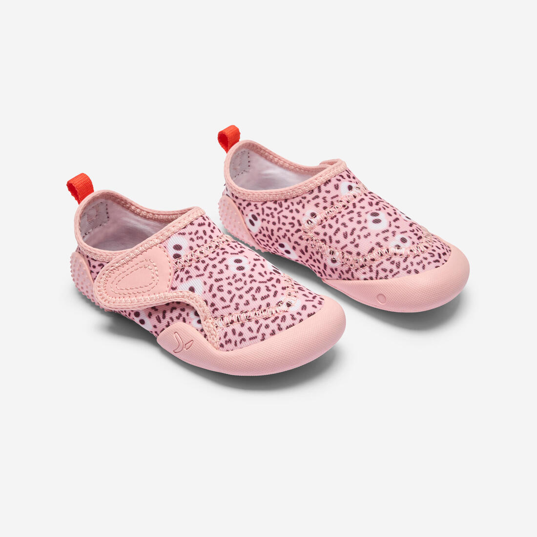 IMG_8668425_2
