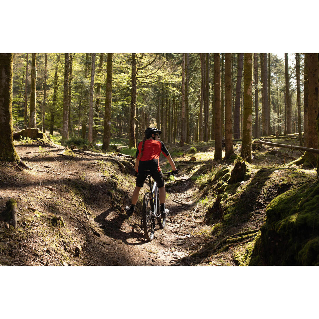 IMG_8529388_43