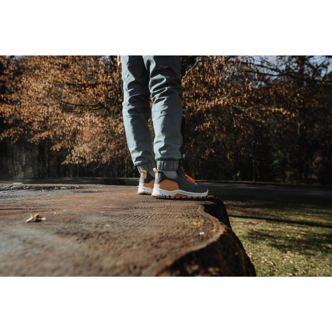IMG_8736029_14