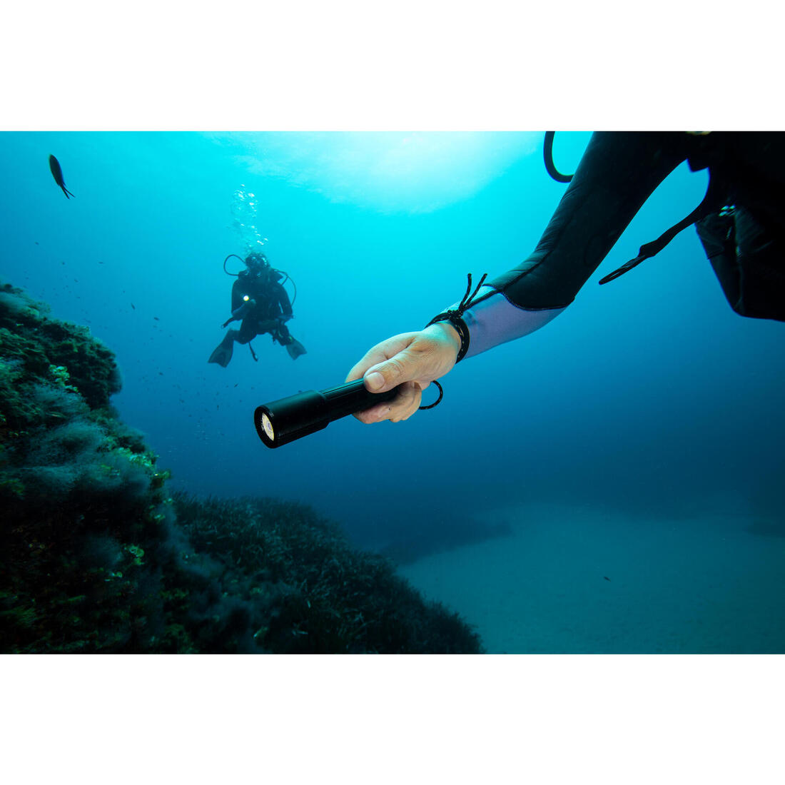 IMG_8669338_10