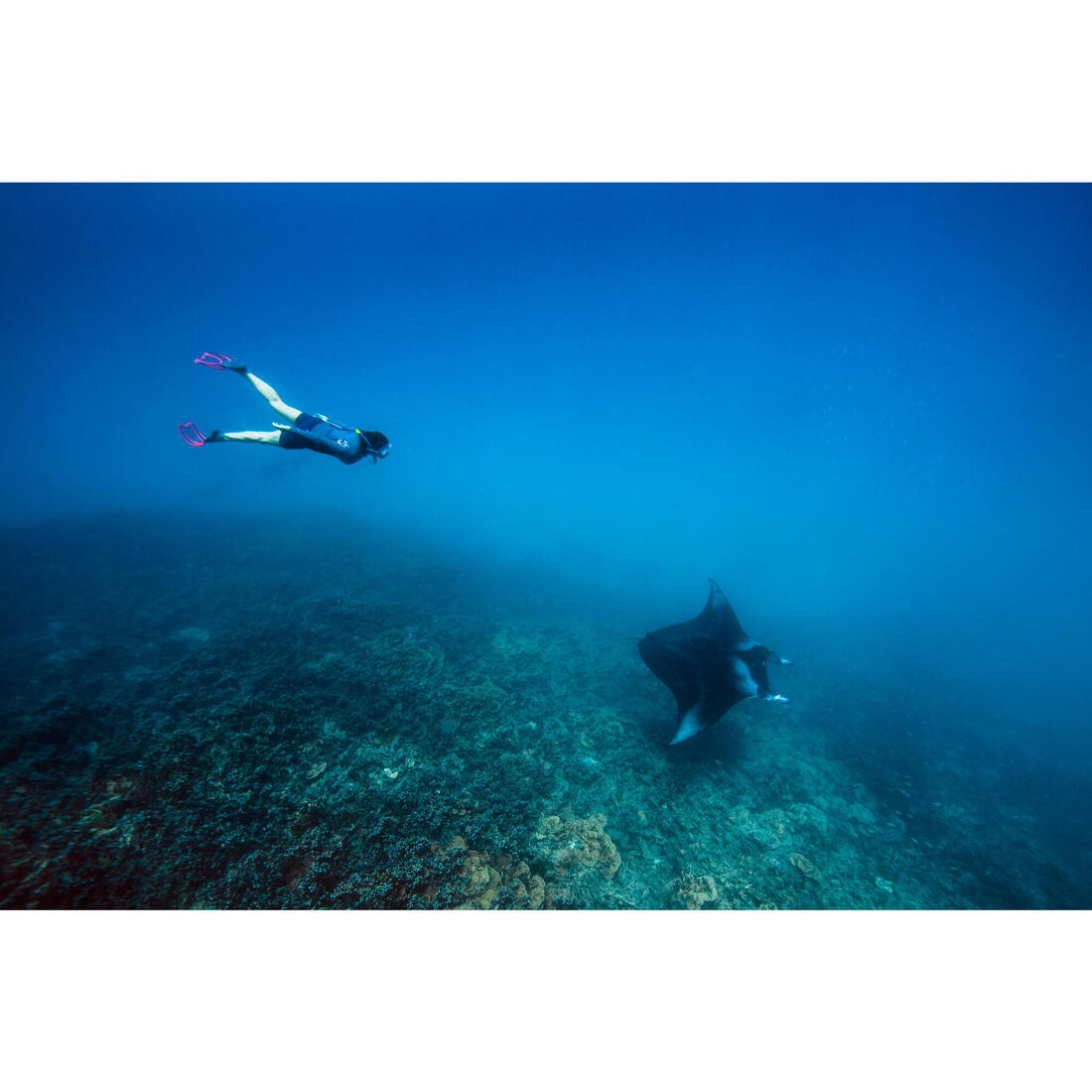 IMG_8539776_10