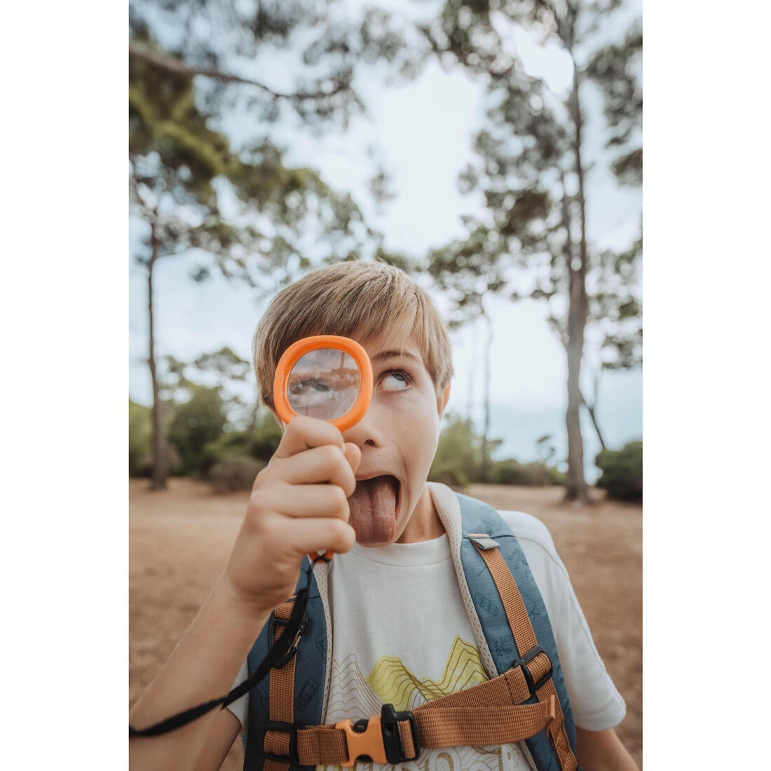 IMG_8330025_4