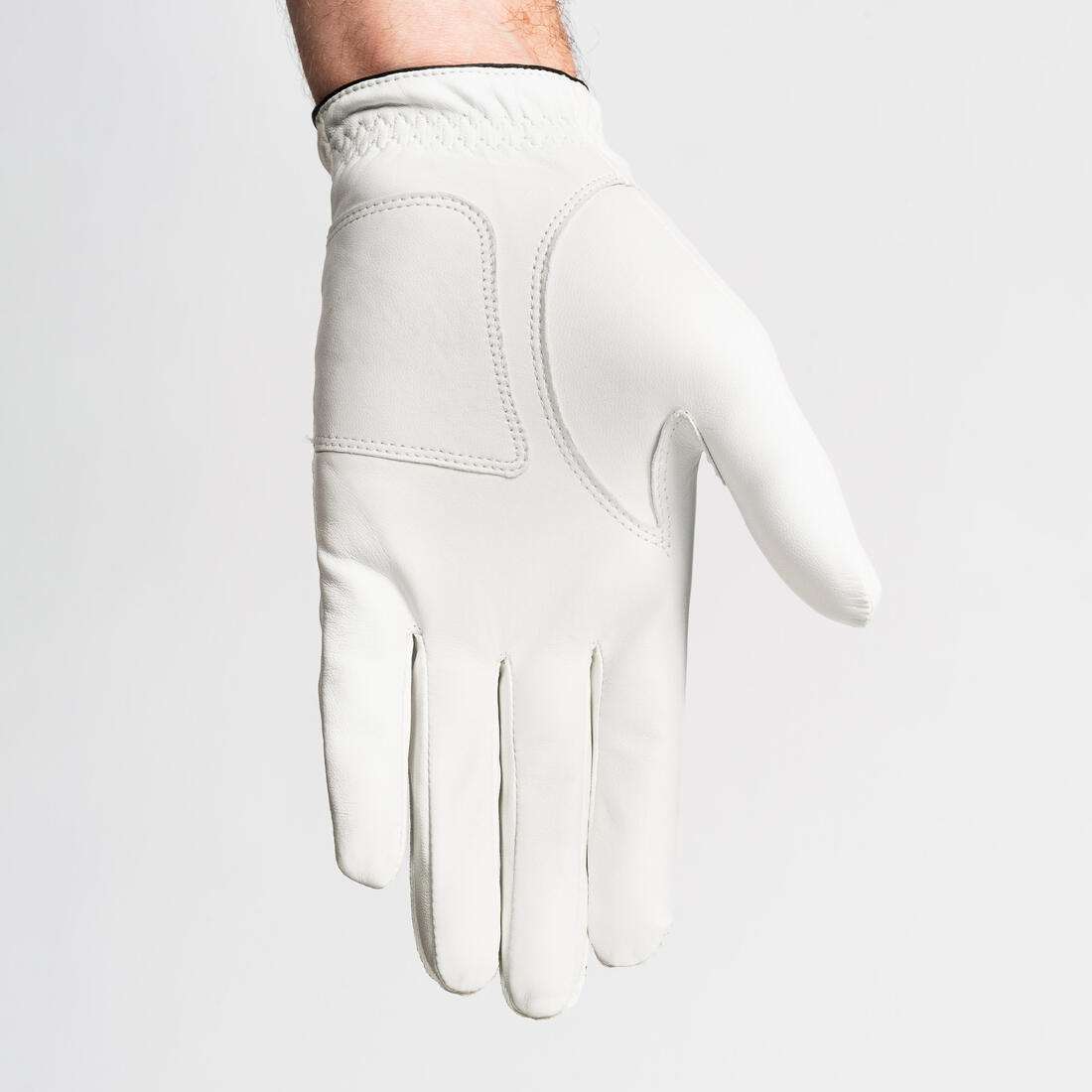 IMG_8540155_2