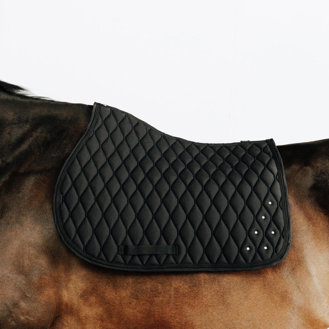 IMG_8918059_1