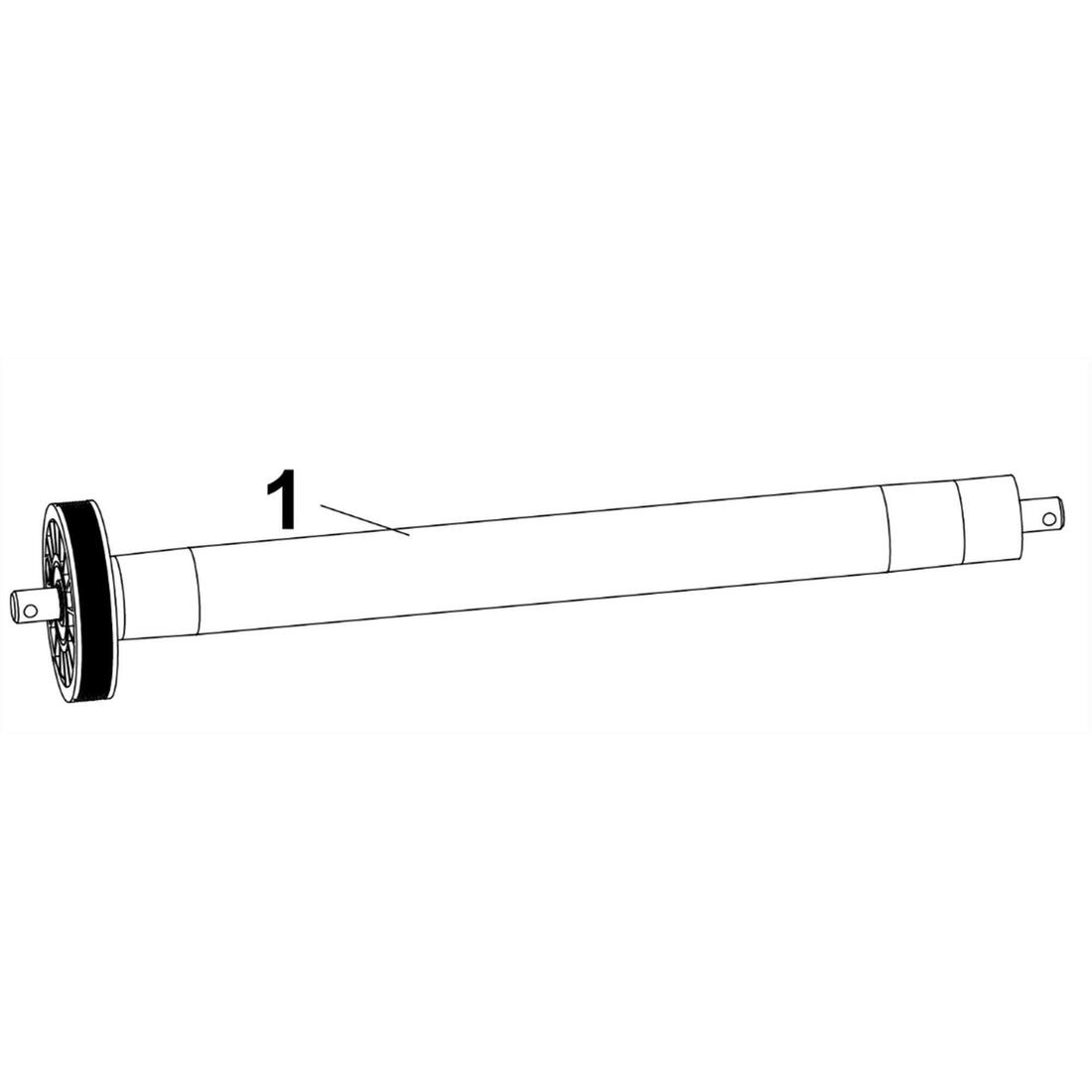 IMG_2359599