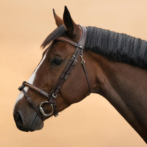 





Filet équitation cuir muserolle française surpiqué Cheval et poney - 580